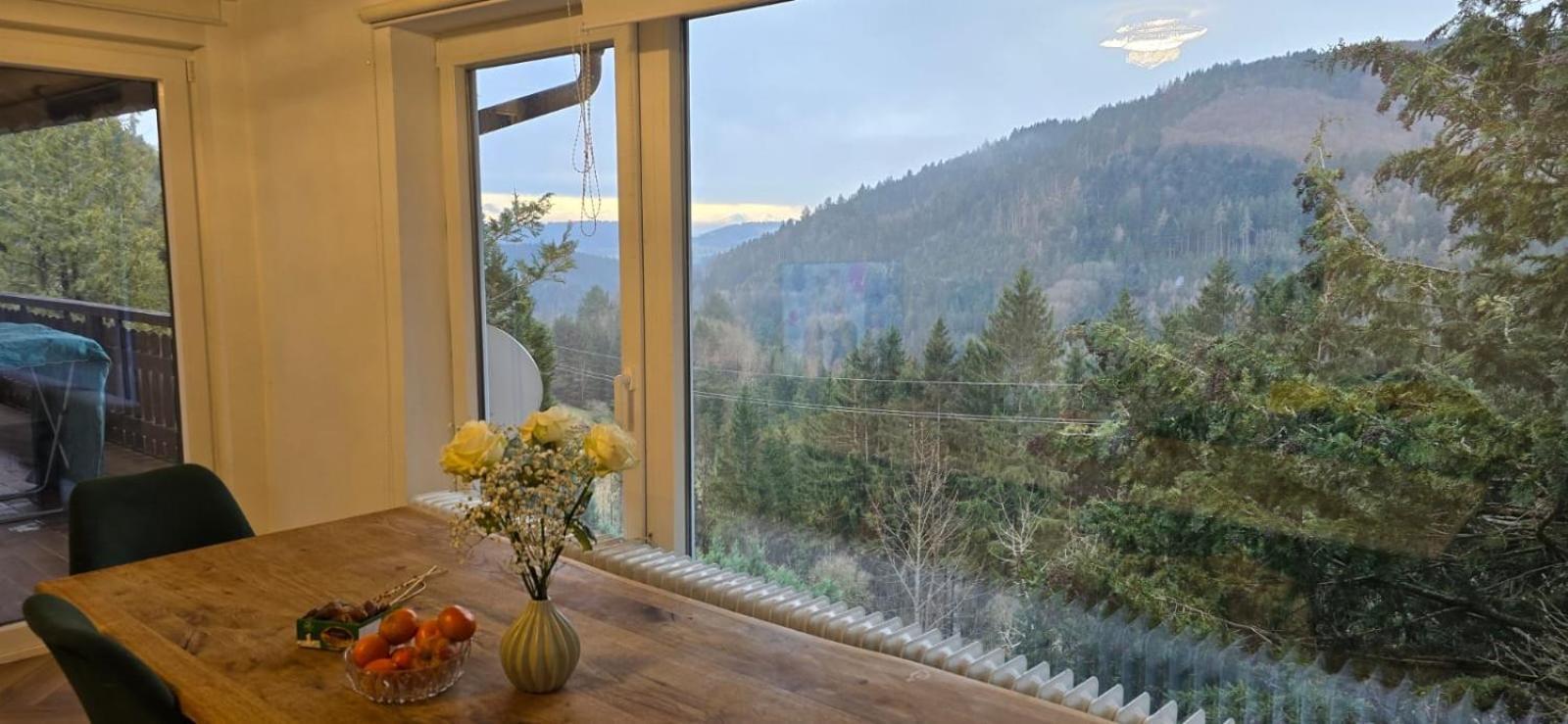Wohnung Im Schwarzwald Mit Panorama Blick Kleines Wiesental Exterior photo