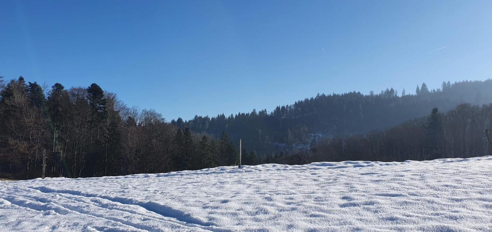 Wohnung Im Schwarzwald Mit Panorama Blick Kleines Wiesental Exterior photo