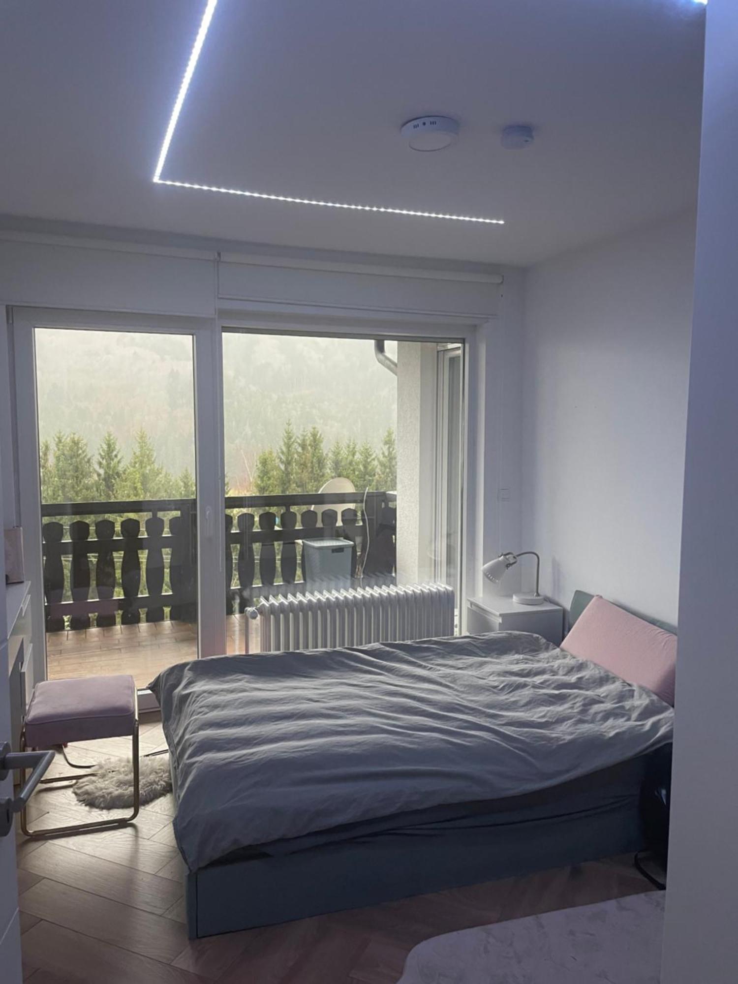 Wohnung Im Schwarzwald Mit Panorama Blick Kleines Wiesental Exterior photo